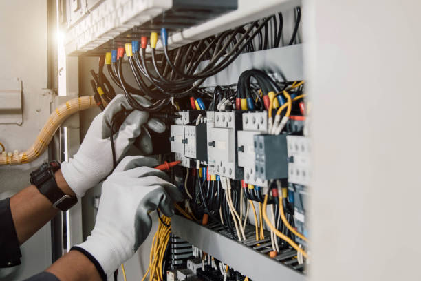 Best Electric Panel Repair  in Braska City, NE